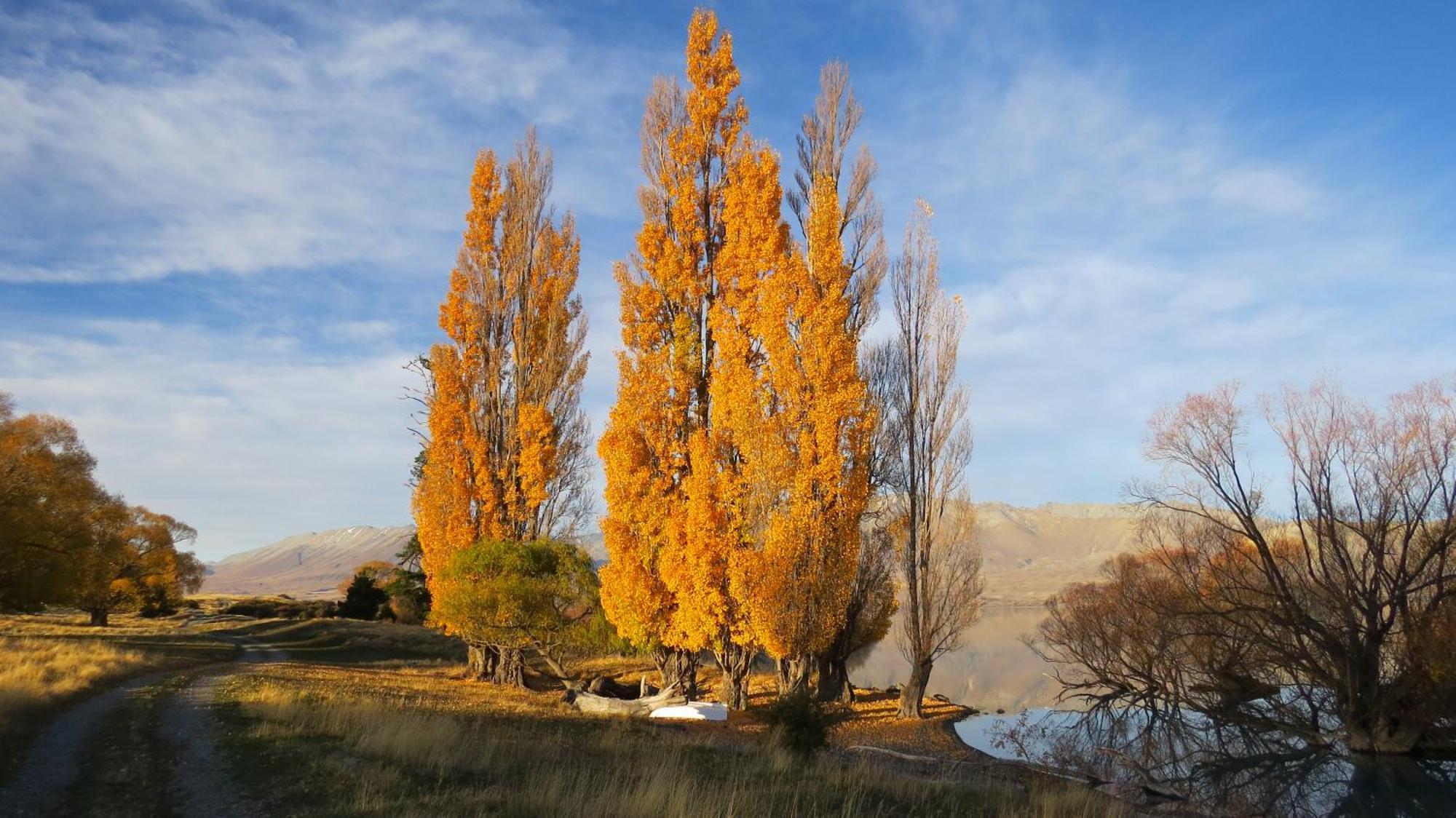 Lake Views At Antler Lodge Lake Tekapo Exterior photo